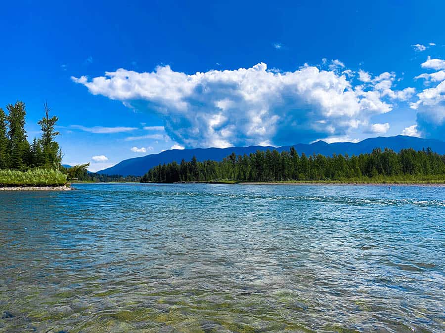 On this Feature Friday, GuideTime is spotlighting Montana Fishing Guides!  Montana Fishing Guides offers fishing trips on the Clark Fork, Flathead