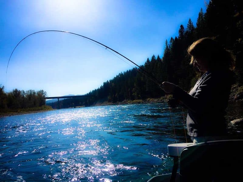 Fishing In Whitefish, MT Montana Fishing Guides
