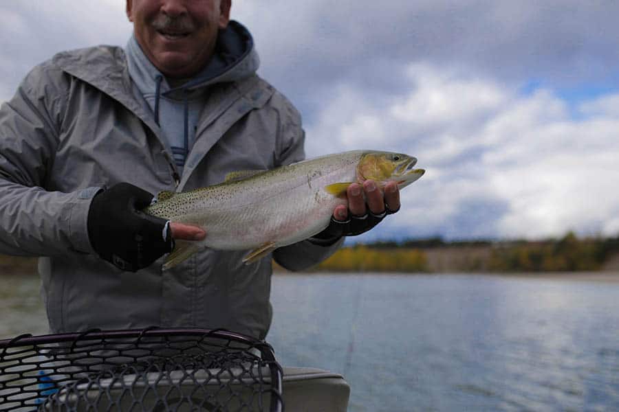 fly fishing the flathead river