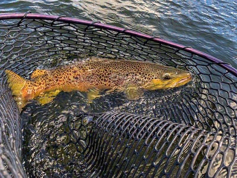 Fishing In Great Falls, MT Montana Fishing Guides