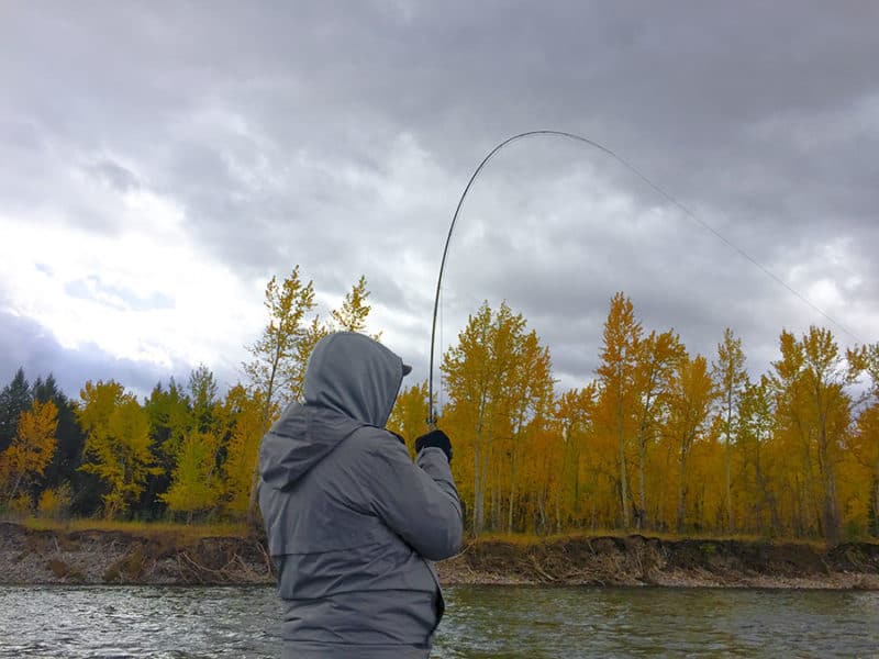 Fishing In Kalispell, MT Montana Fishing Guides