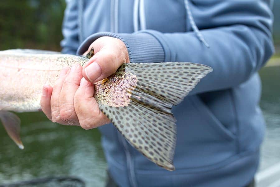 Fishing In Missoula, MT