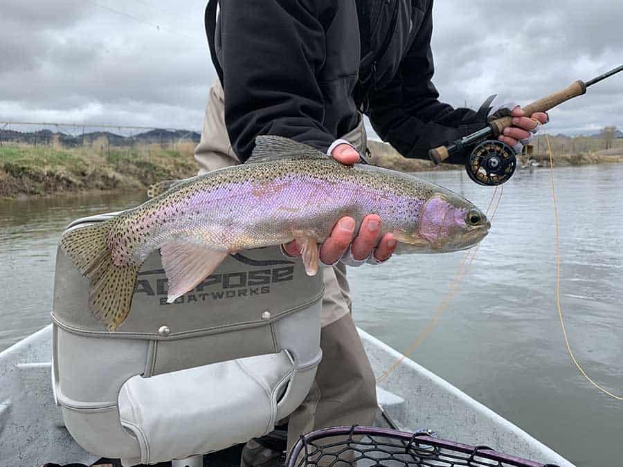 https://montanafishingguides.com/wp-content/uploads/2019/12/Montana-Fly-Fishing.jpg