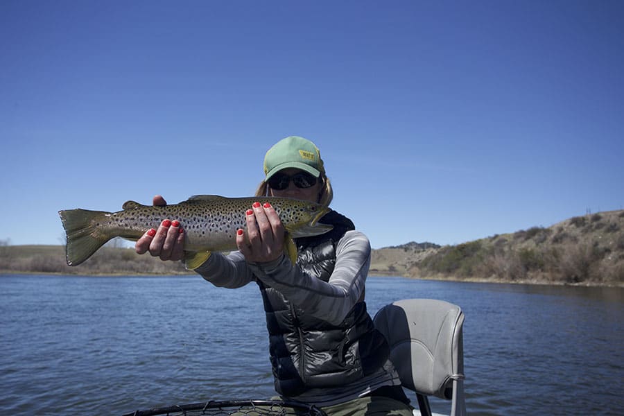 fly fishing in craig montana