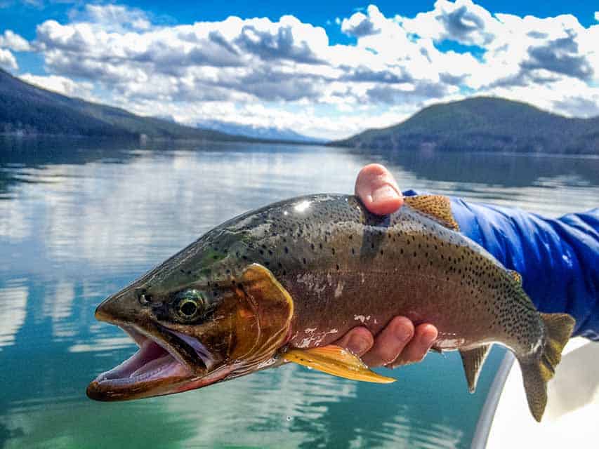 ICE FISHING WHITEFISH and LAKE TROUT ON FLATHEAD LAKE MONTANA