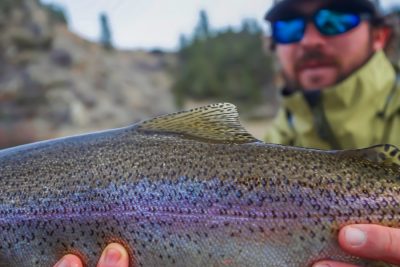 Spin Fishing for Trout in Montana