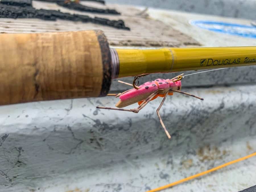 Fly Fishing Season Montana Montana Fishing Guides