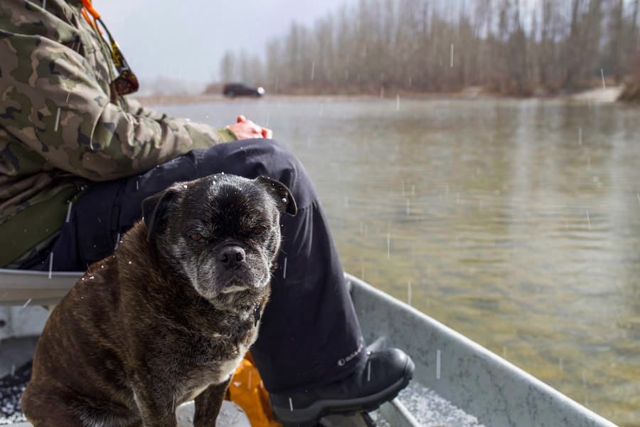 Montana Fly Fishing Hats Montana Fishing Guides