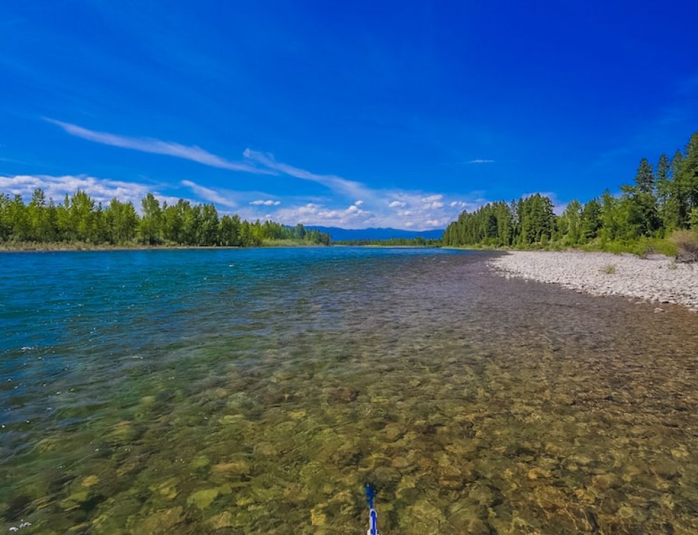 Best Trout Rivers in Montana | Montana Fishing Guides