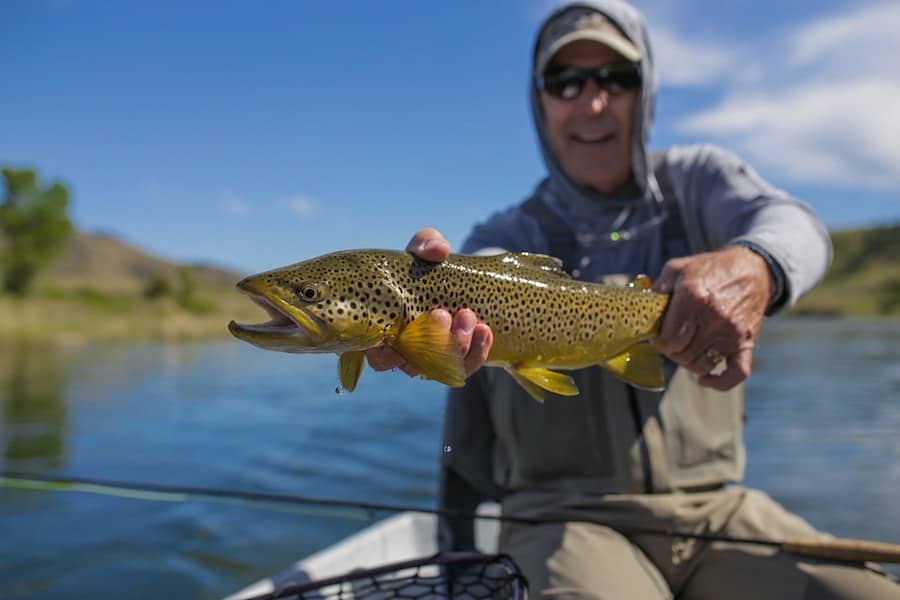 Fly Fishing Montana in June Montana Fishing Guides