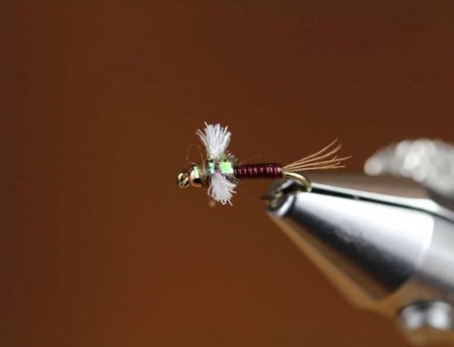 Tying the Little Green Machine Trout Fly