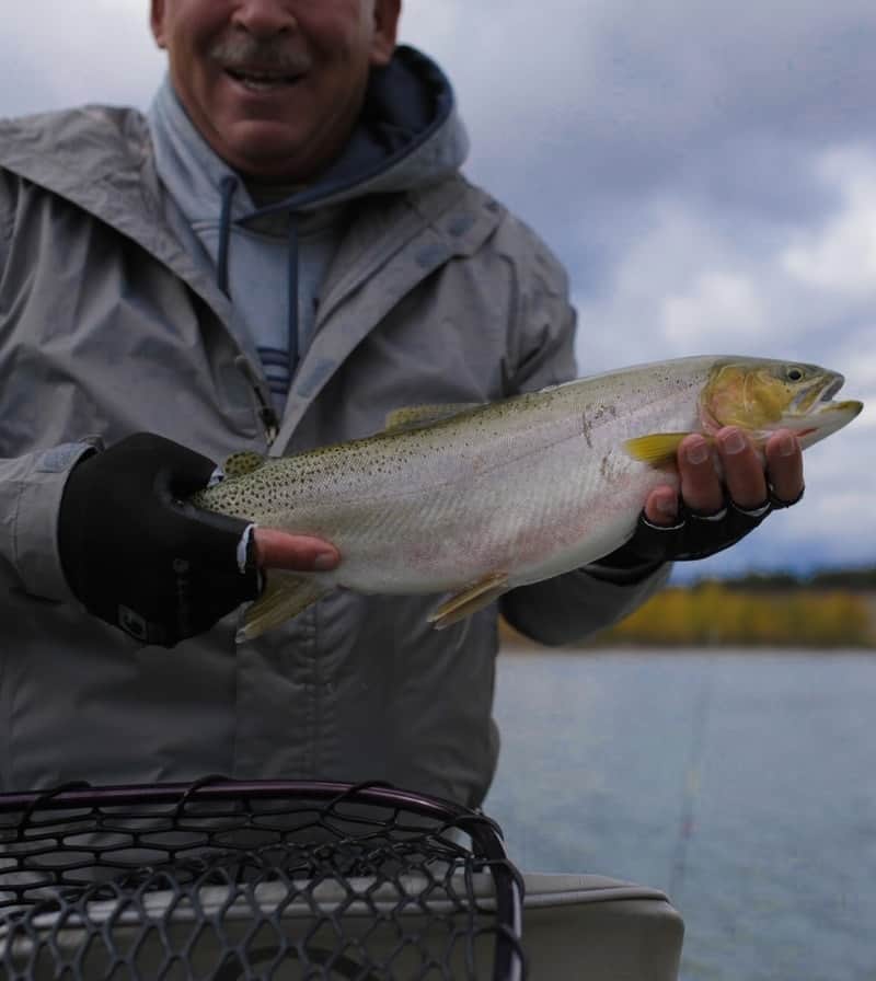 Fishing In Glacier National Park, MT