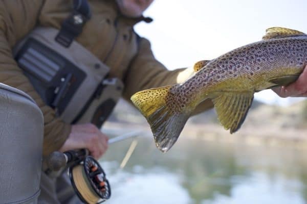 Fishing in Helena, MT