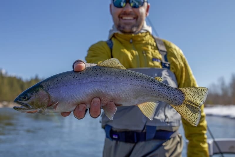 Guided Montana Fly Fishing near Glacier National Park, the