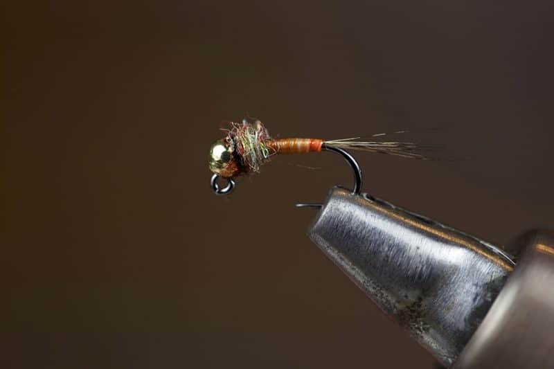 Tying A Jig Mayfly Nymph Montana Fishing Guides
