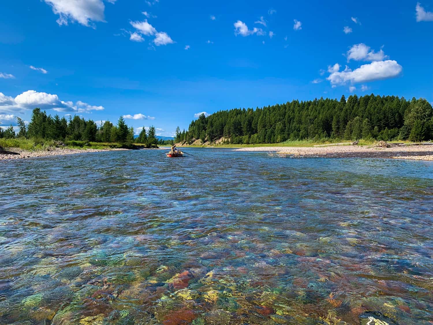 Best Trout Rivers in Montana