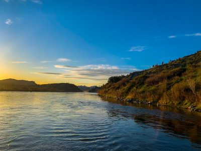 Best Trout Rivers in Montana