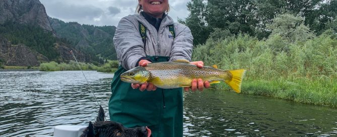 June 17 Fishing Report