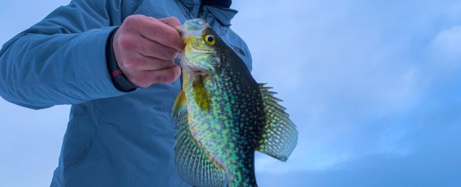 Ice Fishing Report, February 7