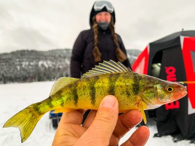 Fishing Report, February 4-2