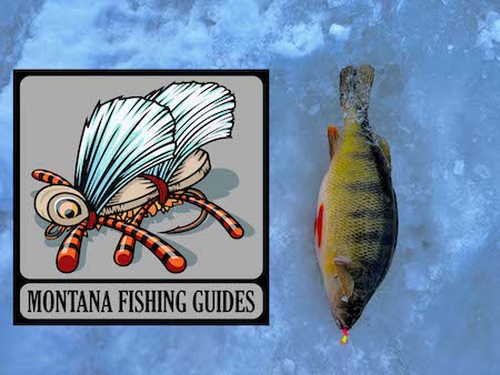 Fishing Report, December 3-1
