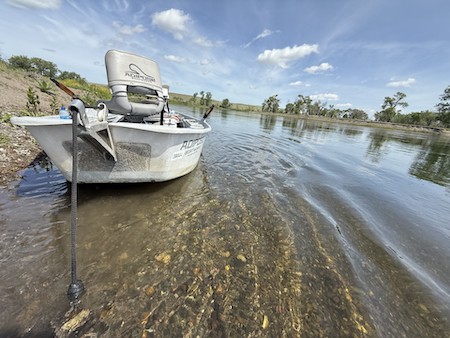 Fishing Report, Whitefish