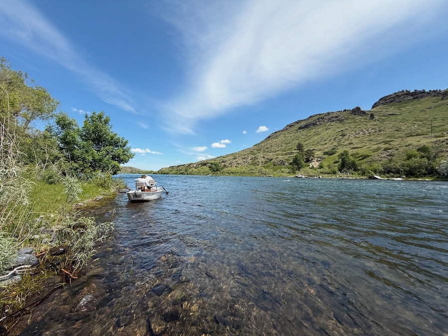 Fishing Report, June 11