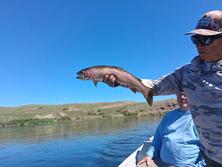 Fishing Report Whitefish