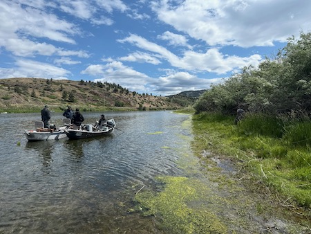 Guided Trips