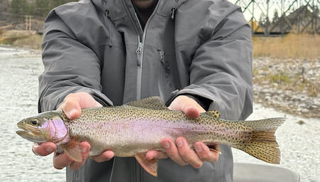 Fishing Report, Missouri River