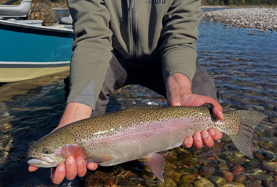 Fishing Report, October 22