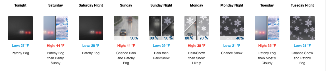 Fishing Report, November 21