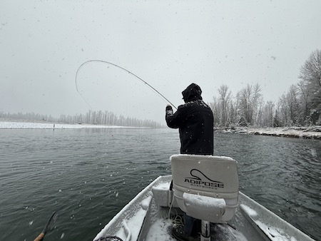 Fishing Report, Whitefish