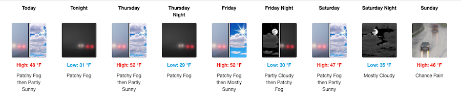 Fishing Report, February 4