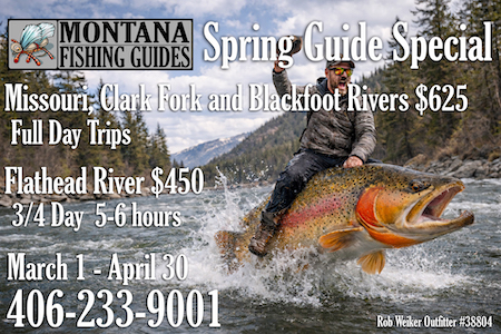 MTFG Spring Guide Special 2026_450 copy