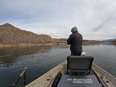 Fishing Report Whitefish