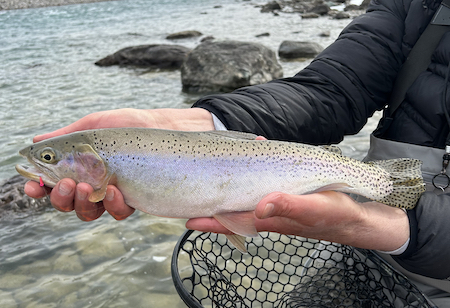 Fishing Report Kalispell