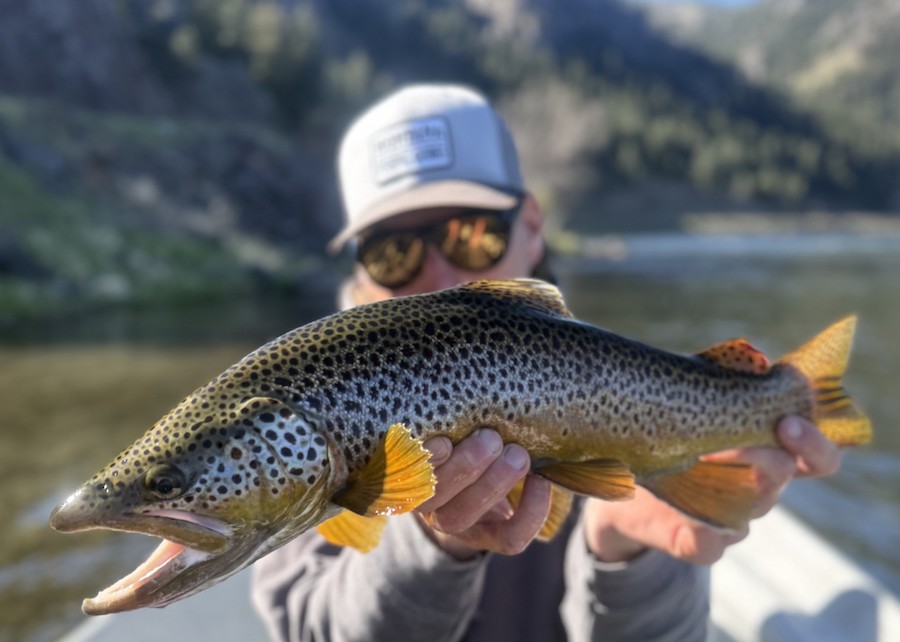 Fishing Report, May 6