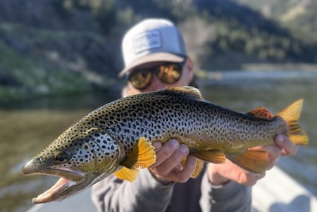 Fishing Report, Whitefish