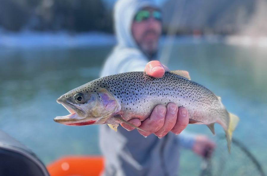 Fishing Report may 15