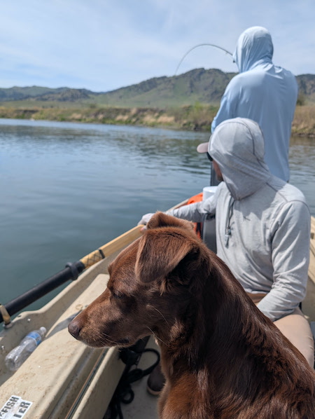 Guided Trips 