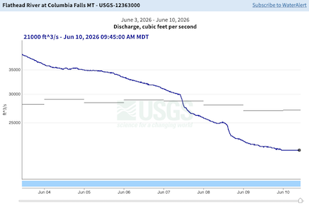 Fishing Report, Whitefish