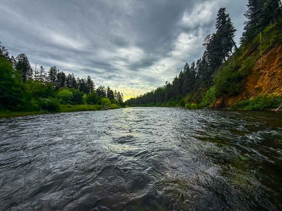 Fishing Report, July 24