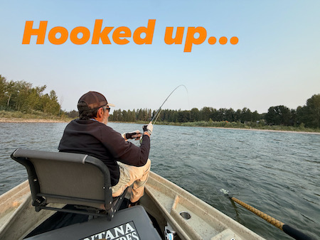 Fishing Report, Whitefish
